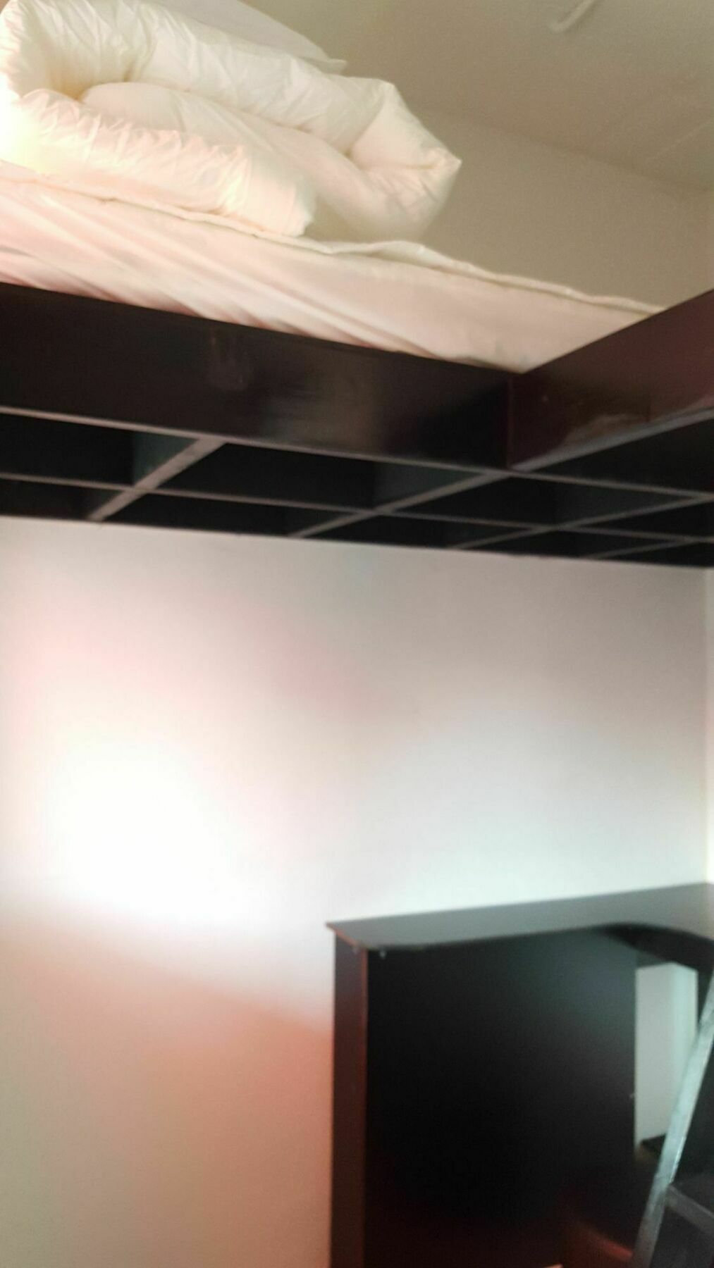 Amazon Guesthouse Сеул Экстерьер фото