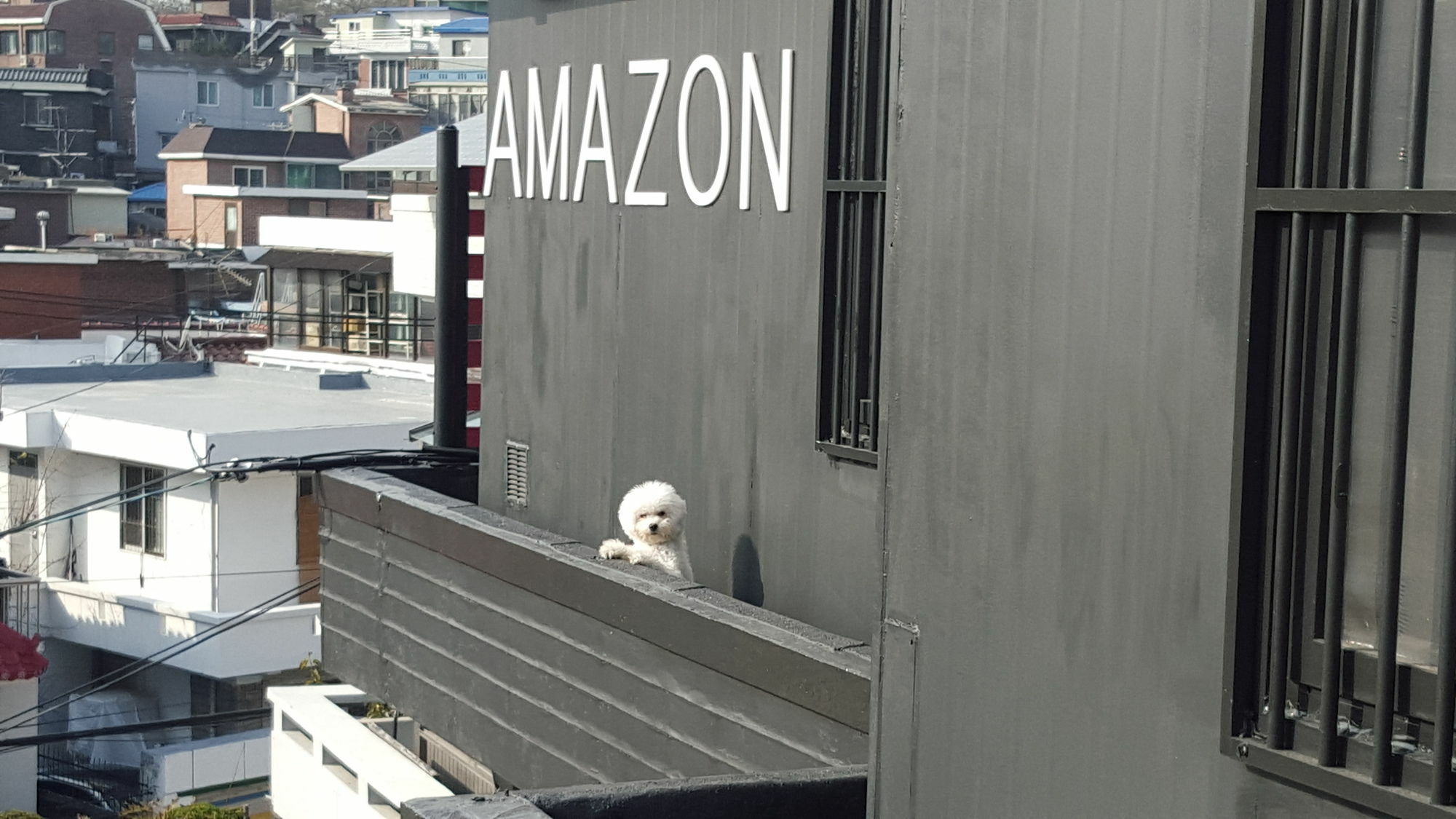 Amazon Guesthouse Сеул Экстерьер фото